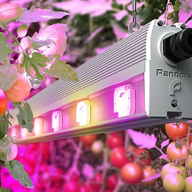 Стартовало производство фитосветильника Pandora LED 615Е-150