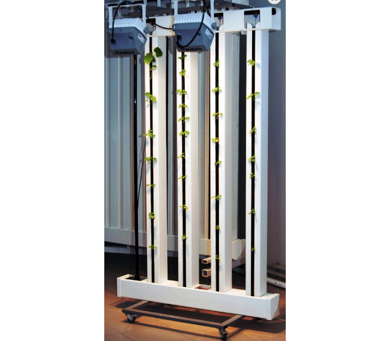 Pandora LED PhytoTower M4-1-1725-620/1-2-P175
