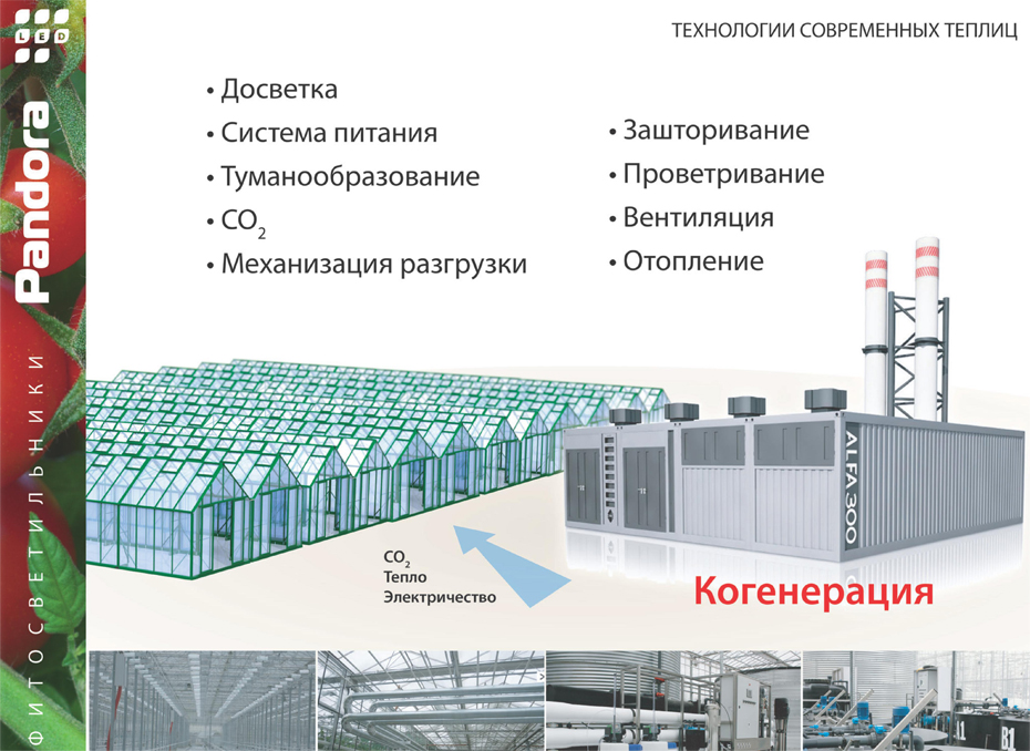 Тепличный бизнес план. Проект тепличного хозяйства. Проект промышленной теплицы. Тепличный комплекс планировка. Тепличное хозяйство план.